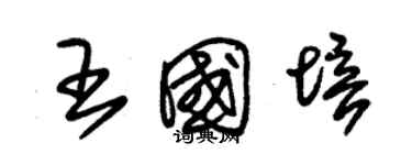 朱锡荣王国培草书个性签名怎么写