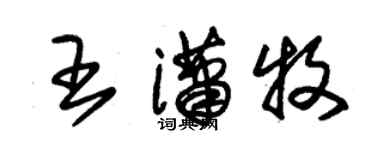 朱锡荣王潇牧草书个性签名怎么写