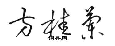 骆恒光方桂兰草书个性签名怎么写
