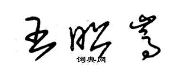 朱锡荣王昭嵩草书个性签名怎么写