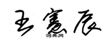朱锡荣王宪辰草书个性签名怎么写