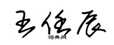朱锡荣王任辰草书个性签名怎么写
