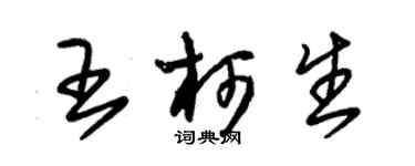 朱锡荣王柯生草书个性签名怎么写