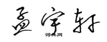 骆恒光孟宇轩草书个性签名怎么写