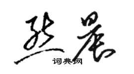 骆恒光熊晨草书个性签名怎么写