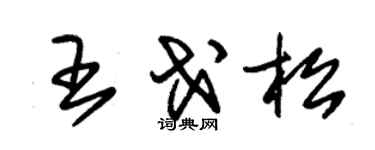 朱锡荣王戈松草书个性签名怎么写