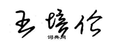 朱锡荣王培伦草书个性签名怎么写