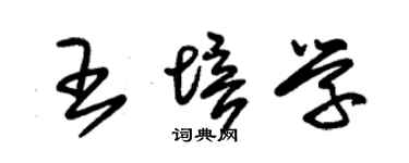 朱锡荣王培学草书个性签名怎么写
