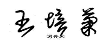 朱锡荣王培菊草书个性签名怎么写