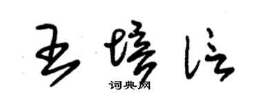朱锡荣王培信草书个性签名怎么写