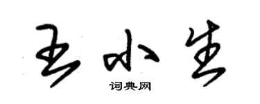 朱锡荣王小生草书个性签名怎么写