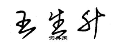 朱锡荣王生升草书个性签名怎么写