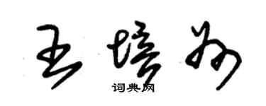 朱锡荣王培州草书个性签名怎么写