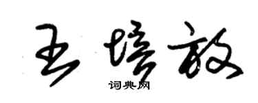 朱锡荣王培放草书个性签名怎么写