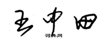 朱锡荣王中田草书个性签名怎么写