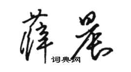 骆恒光薛晨草书个性签名怎么写