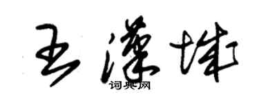 朱锡荣王汉城草书个性签名怎么写
