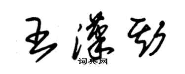 朱锡荣王汉斯草书个性签名怎么写
