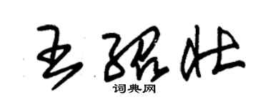 朱锡荣王绍壮草书个性签名怎么写
