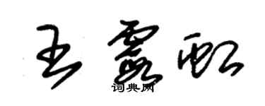朱锡荣王霞虹草书个性签名怎么写