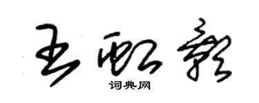 朱锡荣王虹影草书个性签名怎么写