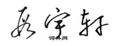 骆恒光段宇轩草书个性签名怎么写