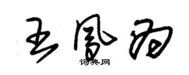 朱锡荣王凤为草书个性签名怎么写