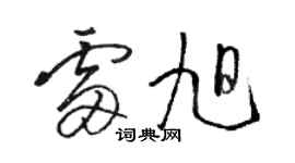 骆恒光雷旭草书个性签名怎么写