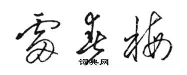 骆恒光雷春梅草书个性签名怎么写