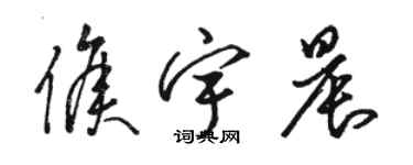 骆恒光侯宇晨草书个性签名怎么写
