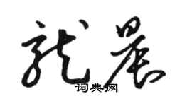 骆恒光龙晨草书个性签名怎么写
