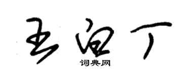 朱锡荣王白丁草书个性签名怎么写