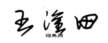 朱锡荣王淦田草书个性签名怎么写