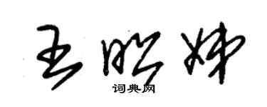 朱锡荣王昭娣草书个性签名怎么写