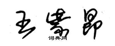 朱锡荣王紫昂草书个性签名怎么写