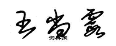 朱锡荣王尚霞草书个性签名怎么写
