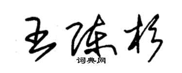 朱锡荣王陈杉草书个性签名怎么写
