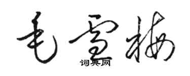 骆恒光毛雪梅草书个性签名怎么写