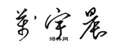 骆恒光万宇晨草书个性签名怎么写