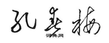 骆恒光孔春梅草书个性签名怎么写
