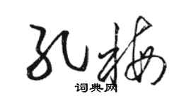 骆恒光孔梅草书个性签名怎么写