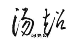 骆恒光汤超草书个性签名怎么写