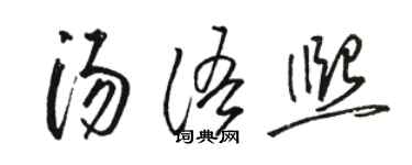 骆恒光汤语熙草书个性签名怎么写