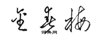 骆恒光金春梅草书个性签名怎么写