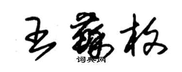 朱锡荣王苏枚草书个性签名怎么写
