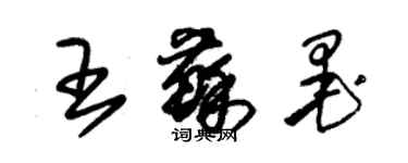 朱锡荣王苏墨草书个性签名怎么写