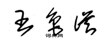 朱锡荣王鲁从草书个性签名怎么写