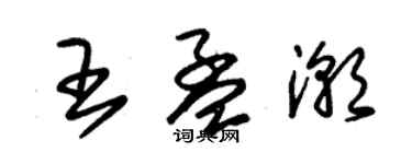 朱锡荣王孟潮草书个性签名怎么写