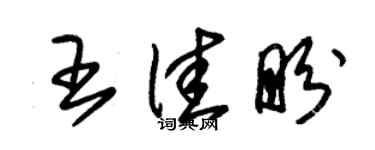 朱锡荣王佳盼草书个性签名怎么写