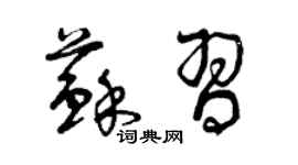 曾庆福苏习草书个性签名怎么写